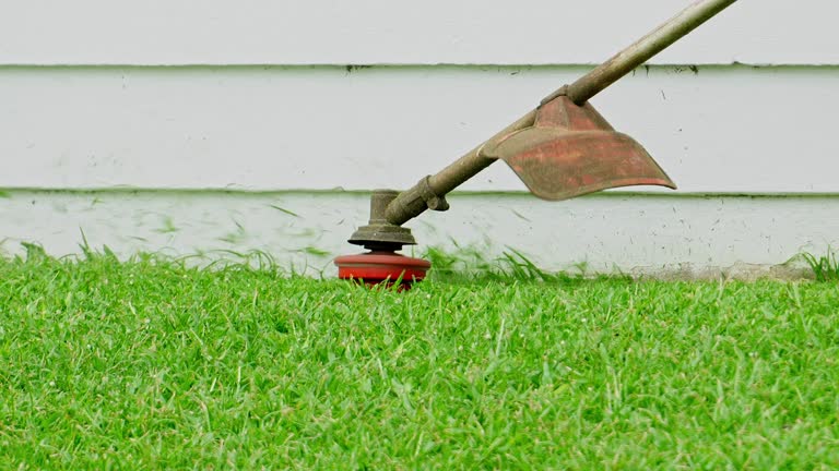 Best Lawn Irrigation Installation and Maintenance  in Gate City, VA
